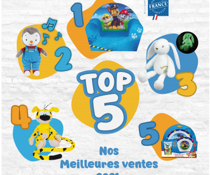 Quel est le TOP 5 des produits Jemini en 2021 ?